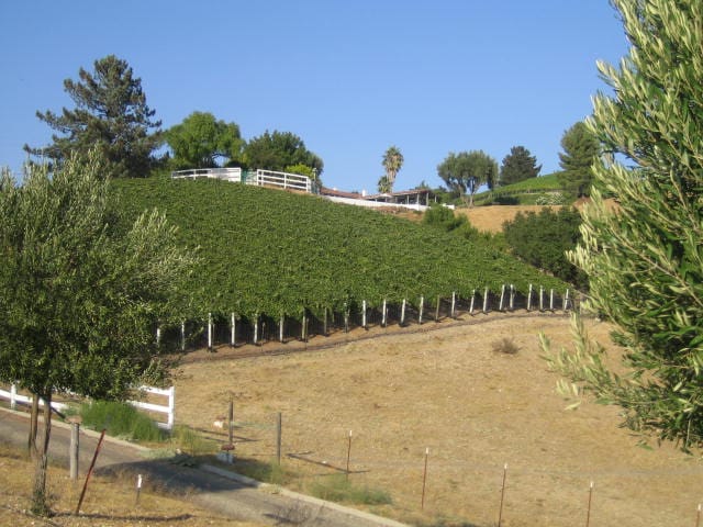 Wine California