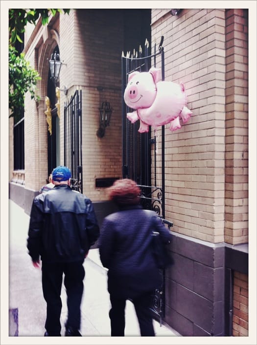 Pork San Francisco