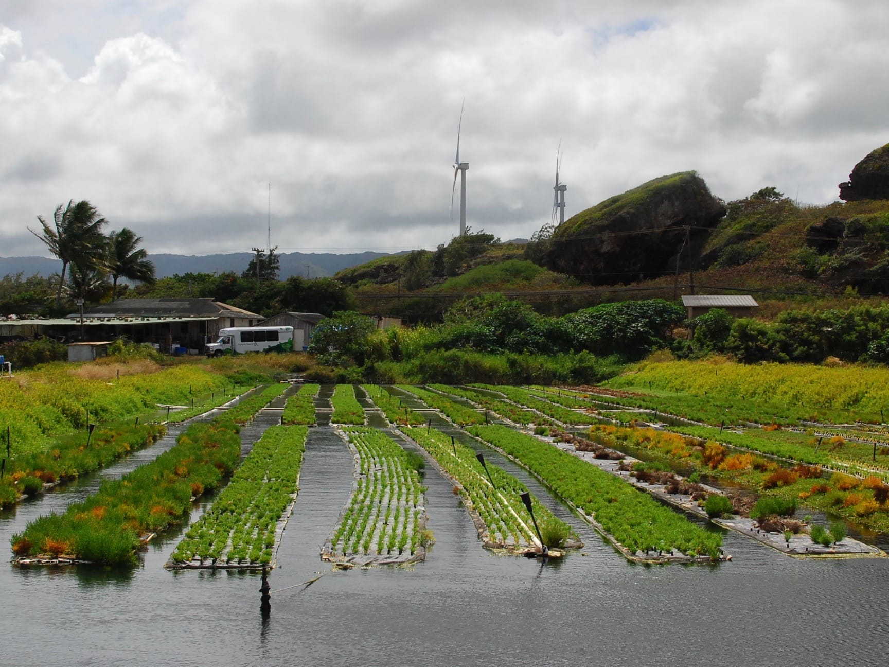 Farm Hawaii