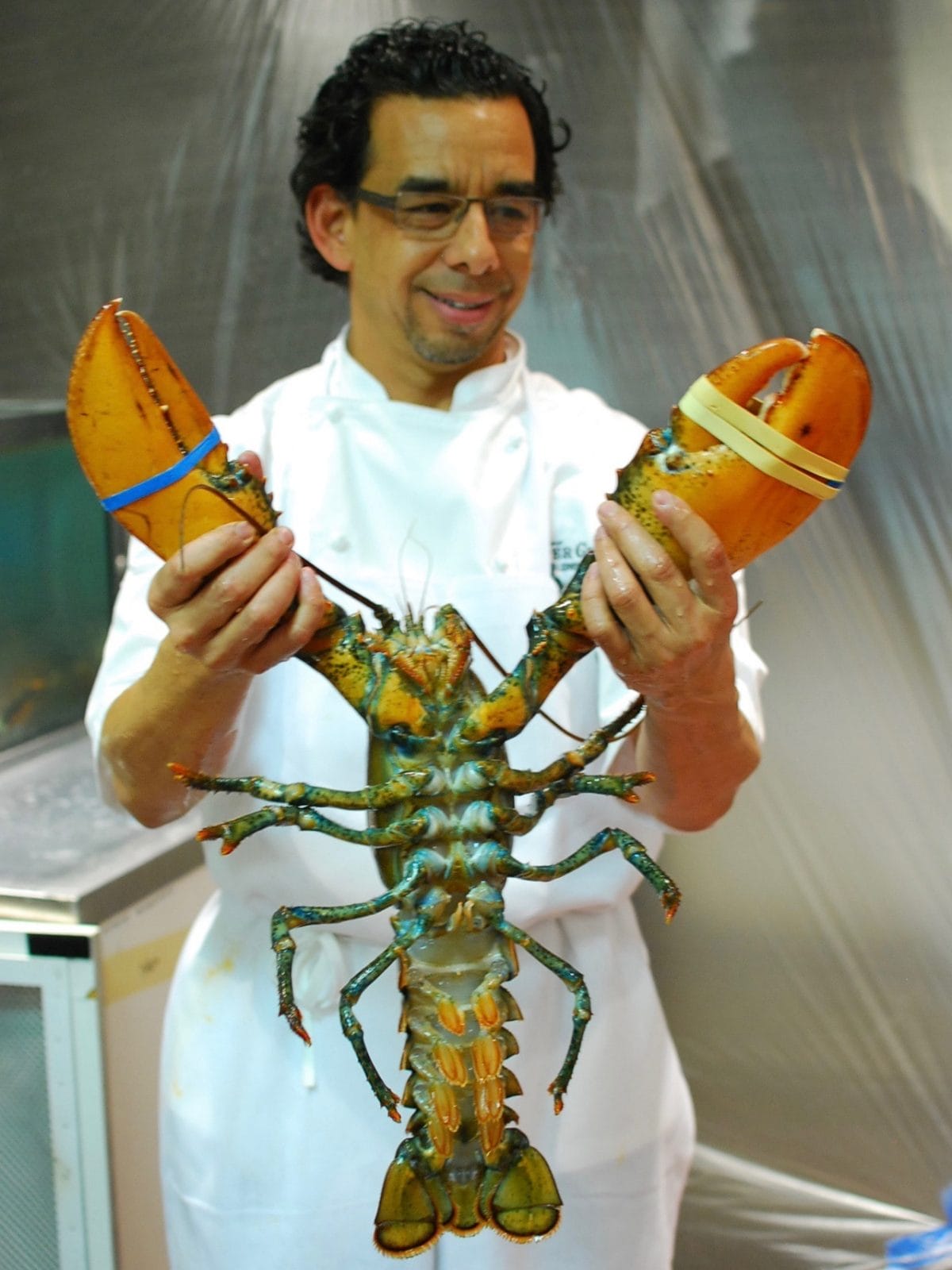 Lobster Los Angeles