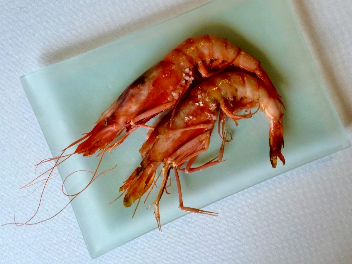 Shrimp Basque Country